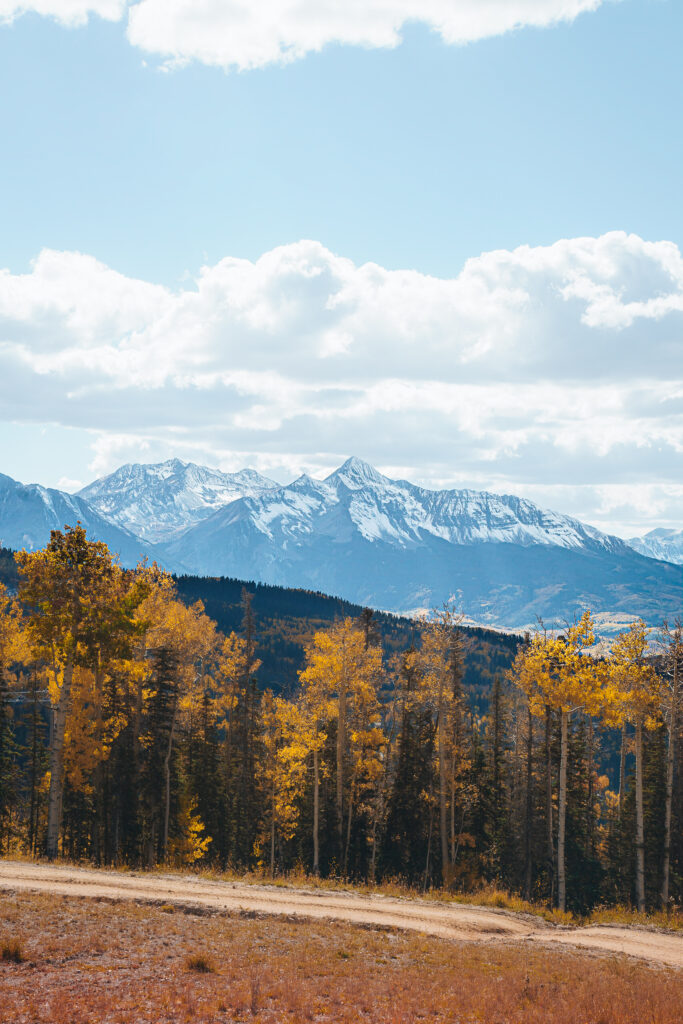 Fall foliage with mountain in the distance in Telluride, Colorado
