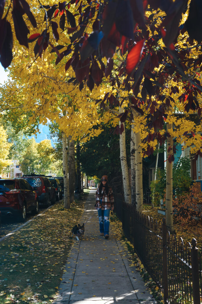 Walking dog through the fall foliage in Telluride, Colorado