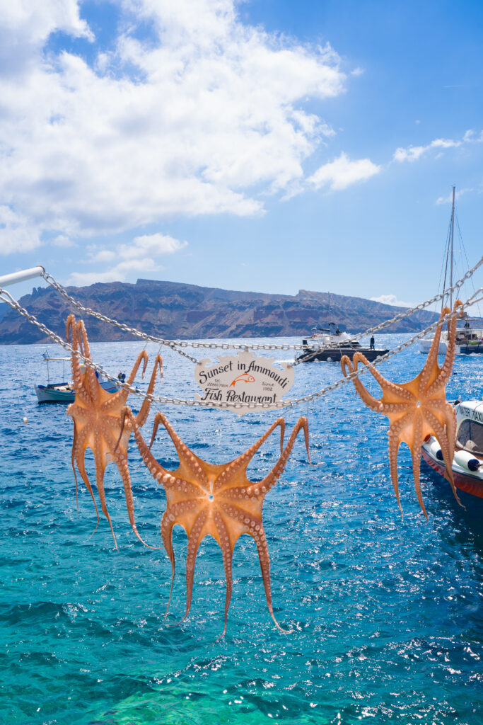 The 15 BEST Things to do in Santorini, Greece