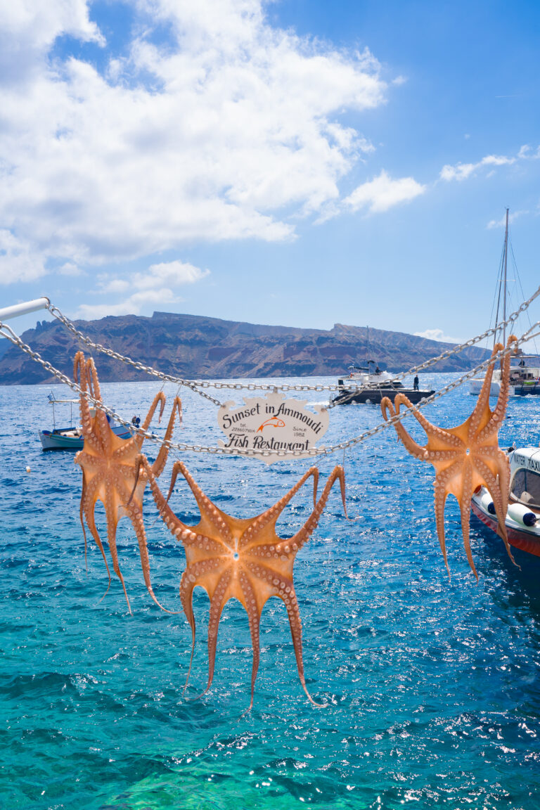 The 15 BEST Things to do in Santorini, Greece