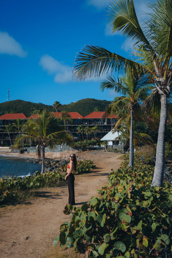 A Complete Guide to Planning the Perfect US Virgin Islands Vacation