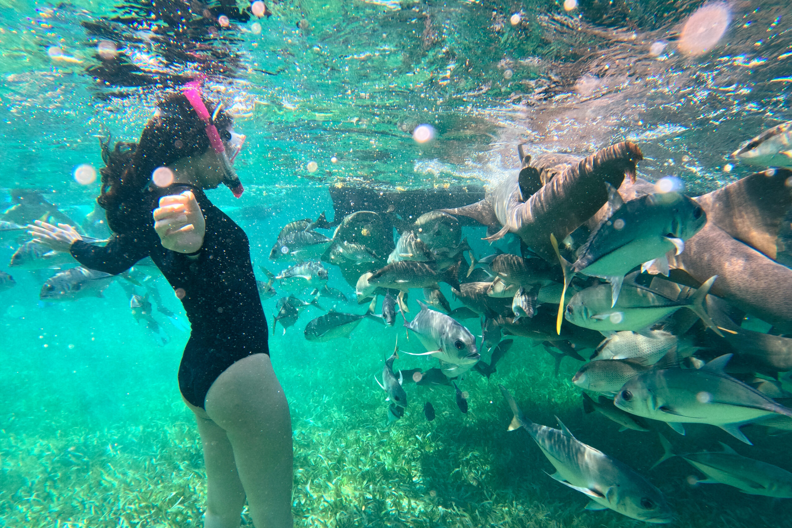 Snorkeling at Shark Ray Alley in Caye Caulker, Belize