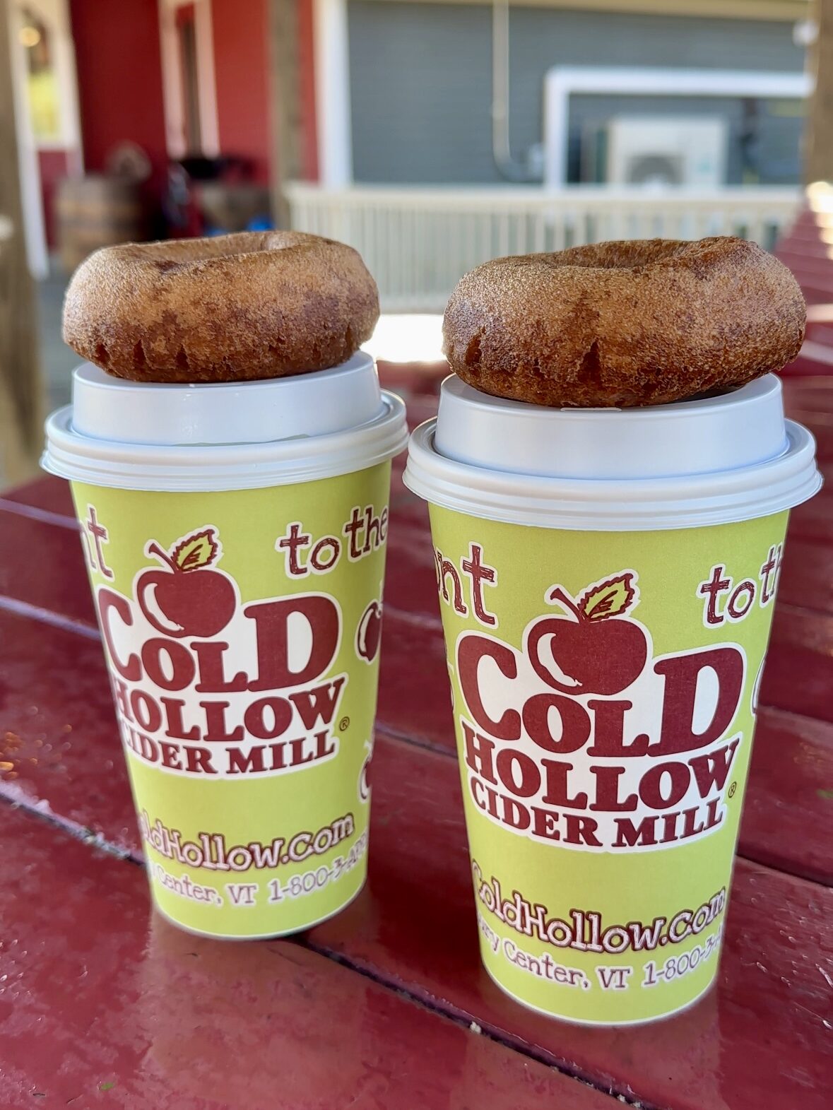 Apple Cider Donuts and Apple Cider from Cold Hollow Cider Mill in Stowe, Vermont